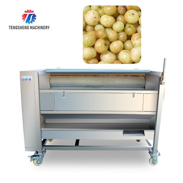 Root Veg 1.5KW Commercial Potato Washer , Kiwifruit Lotus Root Potato Peeler
