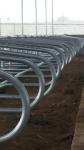 Stainless Steel two side cow free stall Anti Corrosion