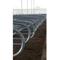 Buy cheap Stainless Steel two side cow free stall Anti Corrosion product