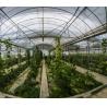 Buy cheap Multi-Span Single-Pan Hydroponic Tomato Cultivation Greenhouse for Aquaculture Market from wholesalers