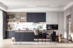 Modern Cupboards For Kitchen Furniture Kitchen Cabinet For Townhouse Hotel