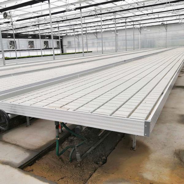 Buy cheap Greenhouse Hydroponic Soilless Culture Ebb Flood Grow Table Seedbed Rolling Bench For Lettuce from wholesalers