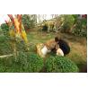 Buy cheap Water Proof Fiberglass Large Dragon Sculptures With 2 Years After Sales Service from wholesalers