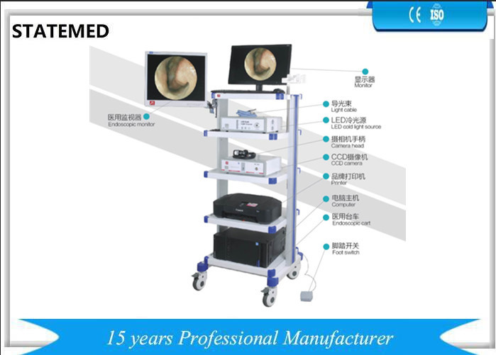 Colposcope Endoscopy Camera System Professional Standard Input Dynamic Video Image