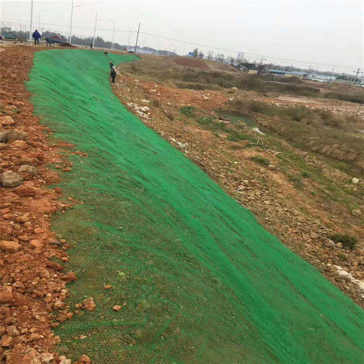 Mountain Slope Protection with 3D Geomat After-sale Service Includes Free Spare Parts