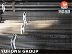 High Pressure Boiler Tube ASTM A213 ASME SA213 T5 Alloy Steel Seamless Tube Heat