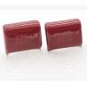 Buy cheap Flameproof Radial Metallized Polypropylene Film Capacitor Durable 450V DC from wholesalers