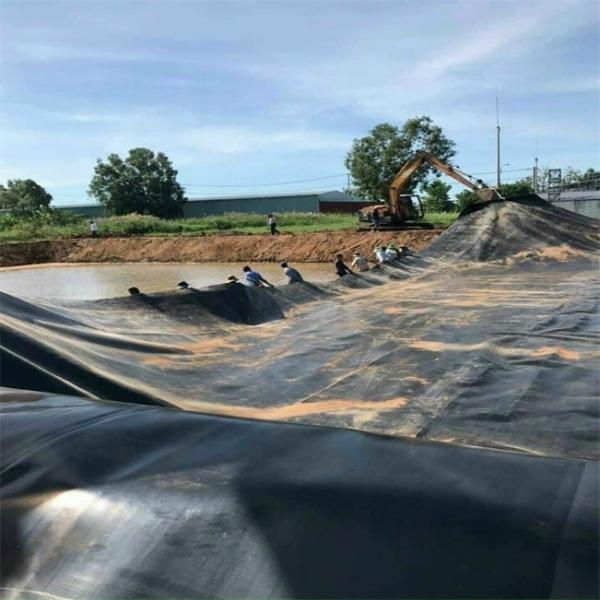 Buy cheap Geomembranes for Outdoor 0.5 mm 0.75 mm 1.0 mm 1.5 mm 2.0 mm HDPE Fish Dam Pond Liner from wholesalers