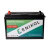 Buy cheap OEM 12 Volt RV LiFePo4 Battery 100ah Solar Lithium Ion Battery Built In BMS from wholesalers