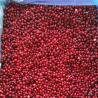 Buy cheap KOSHER 100% Natural 1st Class Dark Red IQF Lingonberry from wholesalers