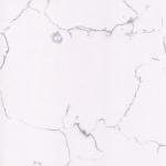 Buy cheap Bianco Carrara Solid Stone Countertops Various Thickness Available from wholesalers
