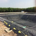 Double Texture 0.3mm 0.5mm 1mm 1.5mm Aquaculture Pond Liner Fish Tank Fish