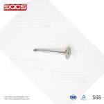 Auto Parts Engine Valves For Mercedes Benz 1110501427 1110530101 R4760/RARNT