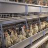 Buy cheap 650x625x500mm Hens H Type Layer Chicken Cage Battery System ISO9001 from wholesalers