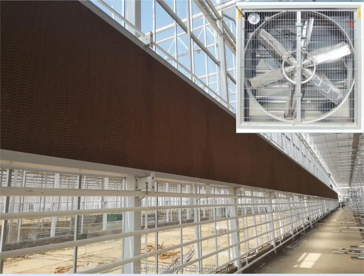 Super Strong Resistance Agriculture Multispan Greenhouse Frame for Growing Vegetables