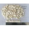 Buy cheap Original Flavor Roasted Seeds And Nuts Snow White Pumpkin Seeds 99% Purity from wholesalers
