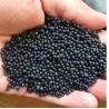 Buy cheap Medium Sized Organic Fertilizer Manufacturing Plant 600V 30KW from wholesalers