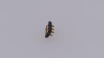 Pitch 2.00mm Spring Loaded Pogo Pin Connector Magnetic 2x3P Male Gender