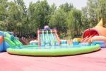 Octopus Commercial Inflatable Water Park Customized Size Acceptable