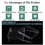 Polystyrene Square Integrid Petri Dish Container for School Lab Science