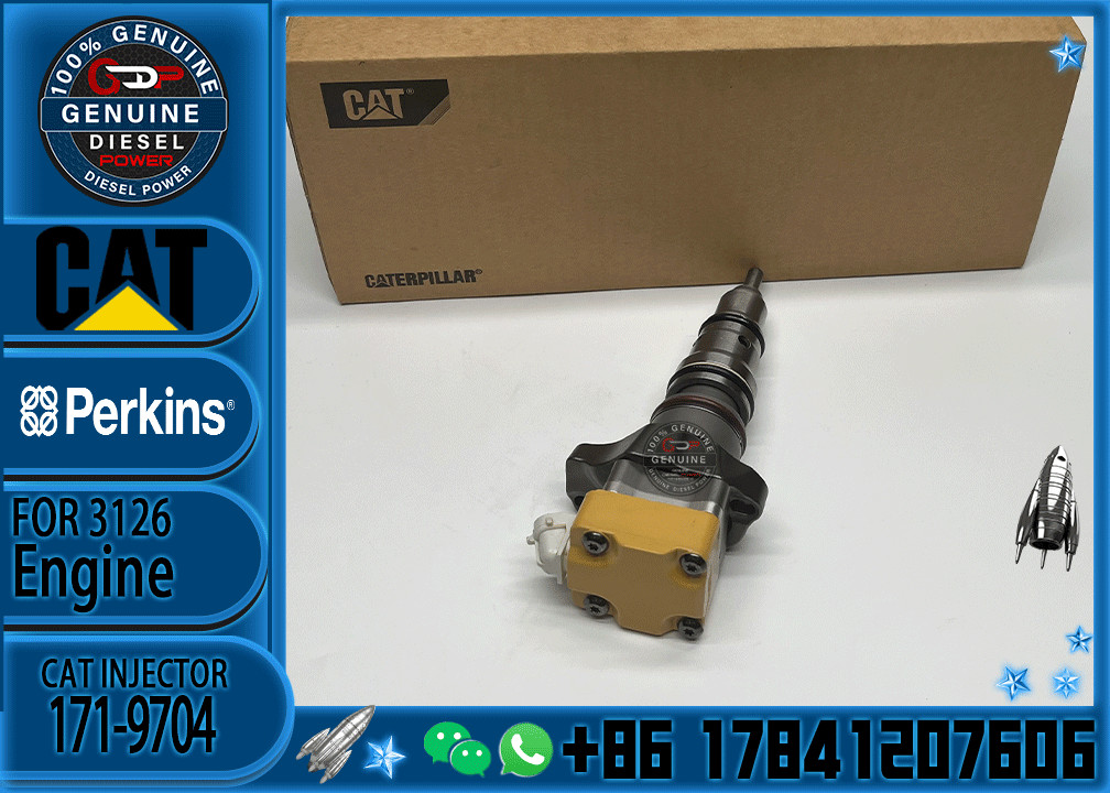 Common rail injector fuel injector 171-9710 218-4109 171-9704 222-5965 for 3216 Excavator 3126E 3126B