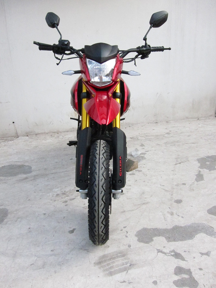 Dual Purpose Enduro Off Road Motorcycles 250cc Balancer Electric Or Kick Start