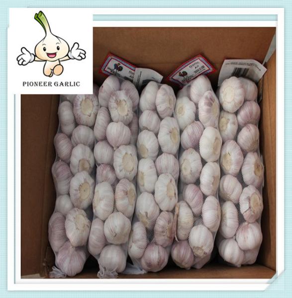 Buy cheap Exported Chinese 2016 New Crop Fresh Natural White Garlic 4.5cm from wholesalers