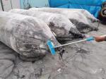 Low Pressure Heavy Lifting Rubber Airbags Used Rubber Marine Airbag