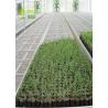 Buy cheap Hydroponic Trays Seedling Greenhouse Grow Beds For Plants Seedbed / Vegetable from wholesalers