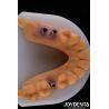 Buy cheap Porcelain Implant Crown and Bridge The Ultimate Solution for Restoration Of Missing Teeth from wholesalers