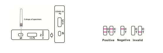IgG IgM Rapid Test Cassette Colloidal Gold