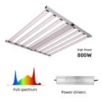 Dimmable 800 Watt LED Grow Light Full Spectrum LED Lamp For Growing Plants LED