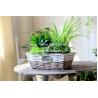 Buy cheap wicker basket manufacturer wicker garden basket willow plant baskets stock fast shipment from wholesalers