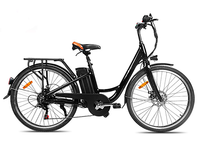 26 Inch 36V 250W Rear Hub Electric Bike With Front Disc Rear Disc Brake