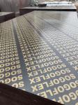 Durable Poplar Core Plywood , Film Faced Shuttering Plywood For Building