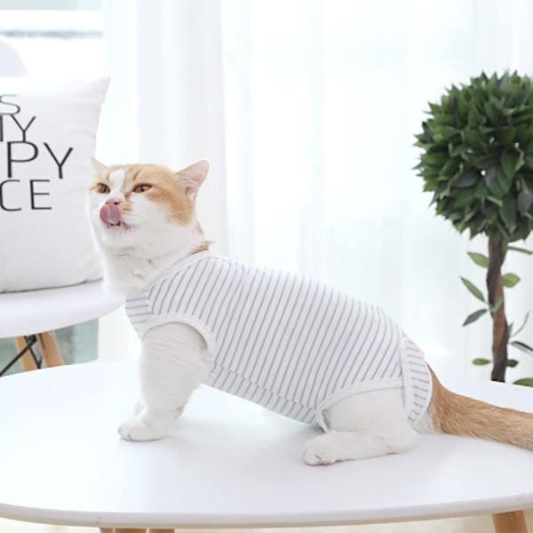 Quality Casual Style Cats Wearing Clothes Blue / White Stripe Comfortable Fashionable for sale