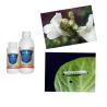 Buy cheap Biological Pesticide Beta Cypermethrin Natural Insecticide For Green Beans from wholesalers