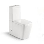 Sanitary Ware Bathroom Washdown Two piece Toilet with 10cm/4inch diameter outlet