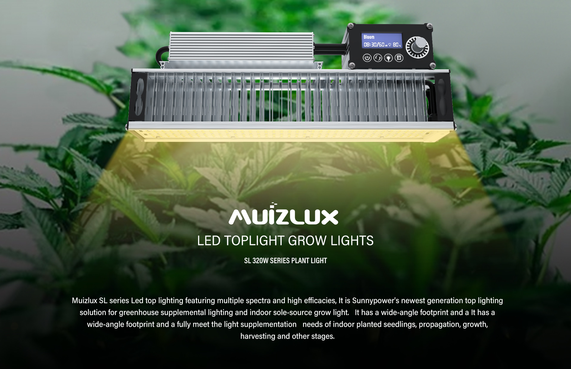 OEM 320w LED Toplighting Grow Light All Year Round Medical Plant Growing Lights