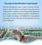 Herd Management All Seasons Wear / Tear Cow Leg Strap Belt 40mmx360mm TPU