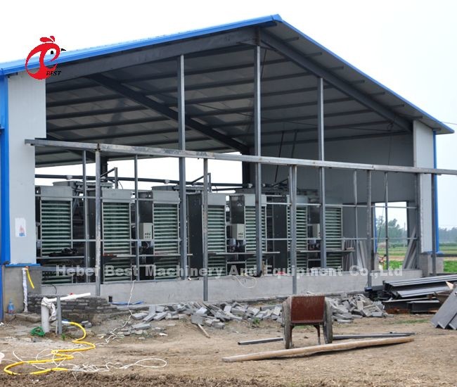 20 Years Lifespan Layer Poultry Farming Automatic Chicken Cage Equipment For 20,000 Layers Adela