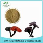 Anti-tumor Chinese Magical Herb Wild Lingzhi Shell-broken Spore Powder