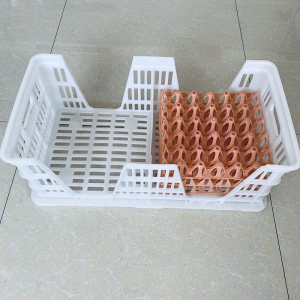 Buy cheap Raw PP Hatchery Layer Egg Transport Box 700*360*270mm For Chicken Farm from wholesalers