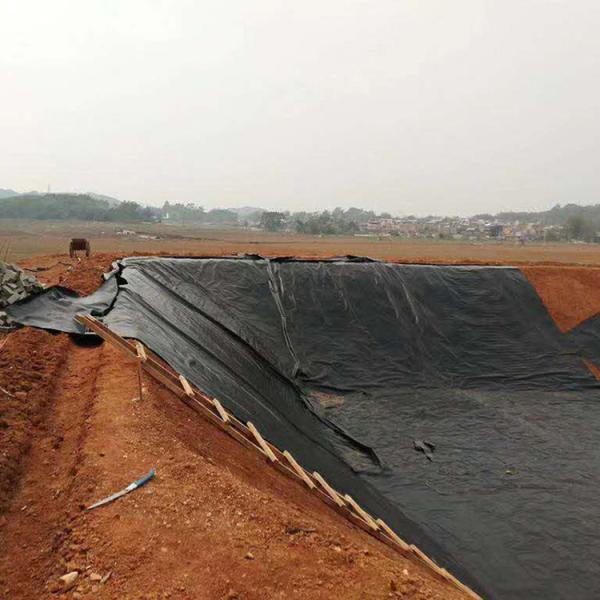 Buy cheap Industrial Design Style Geomembranes for Landfill Anti-seepage and Drainage at Prices from wholesalers