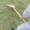 Buy cheap 11 Tine 145cm Bamboo Rake Handmade Rustless Garden Rakes Harrow from wholesalers