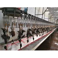 Buy cheap ISO9001 Industrial Automatic Chicken Processing Line 2480*1340*1480mm product