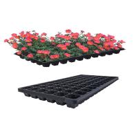 Buy cheap Germination Flower Farm Garden Seed Planter Tray 72 Cells product