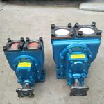 High Efficiency Arc Gear Oil Transfer Pump YHCB Series For Tank Truck