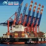 Buy cheap China International Freight Forwarder Logistics Company Sea Shipping To Europe / UK from wholesalers