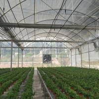 Buy cheap Commercial Greenhouse Rolling Benches Transportable Breeding Nursery Seedling product